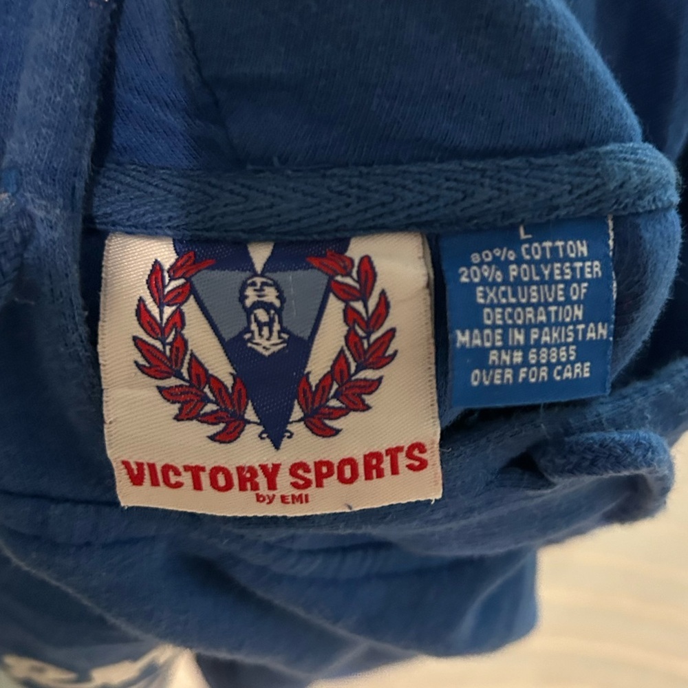 University of Kentucky Wildcats Y2K Style Vintage Hoodie Sweatshirt - L - Picture 8 of 11